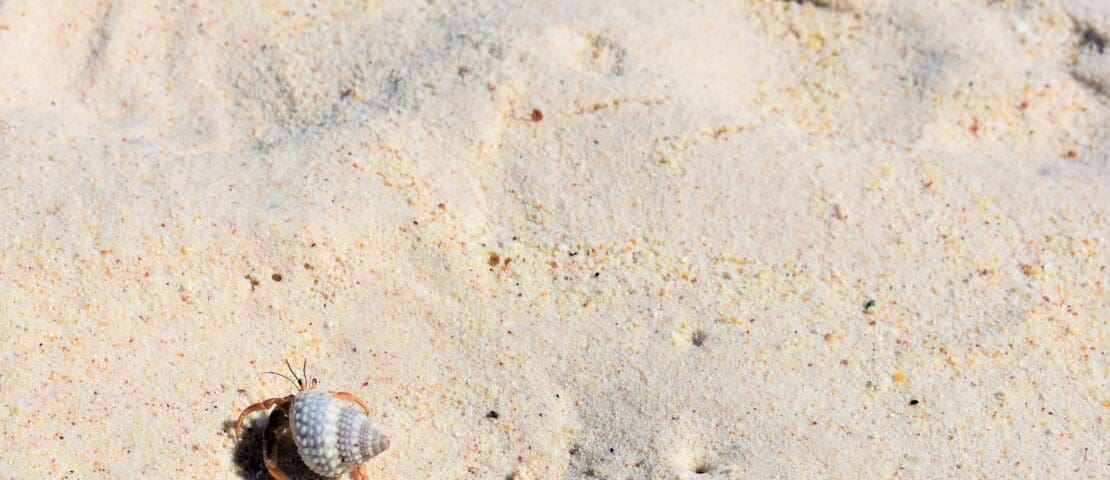 14 Best Things to Do in Curacao