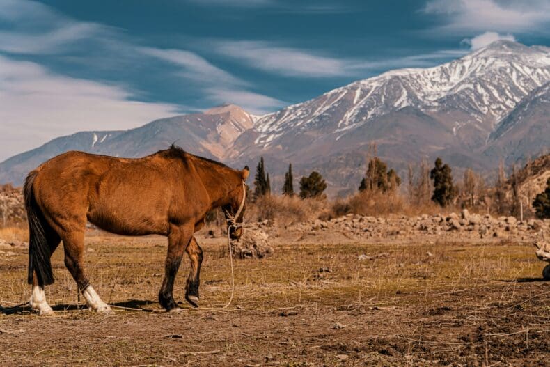 Potrerillos Mendoza