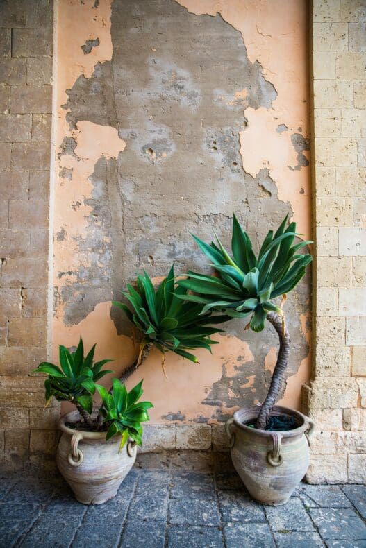 Noto