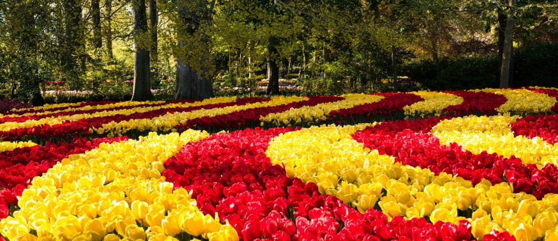 Keukenhof