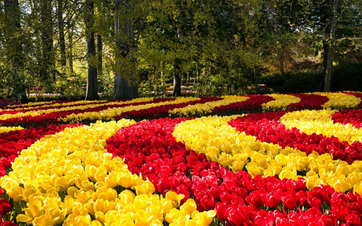 Keukenhof