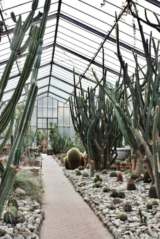 Palermo Orto Botanico