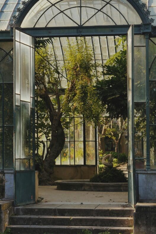 Palermo Orto Botanico