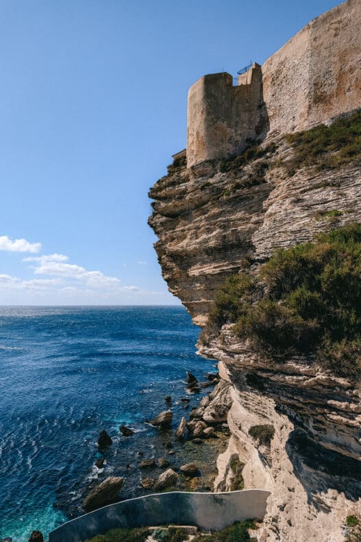 Bonifacio