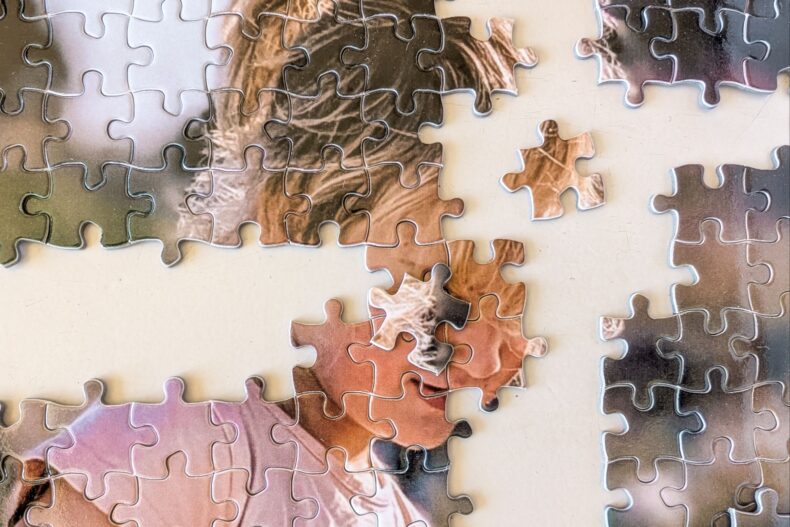 Fotopuzzel Studentendrukwerk