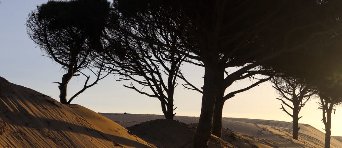 Hidden Gems in Andalucia: 15 Interesting Places Off The Beaten Track