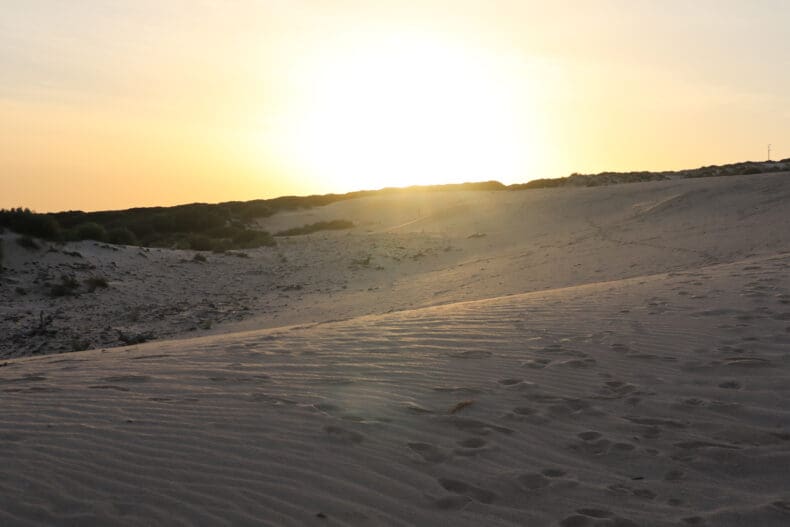 Duna de Valdevaqueros | Costa de la Luz