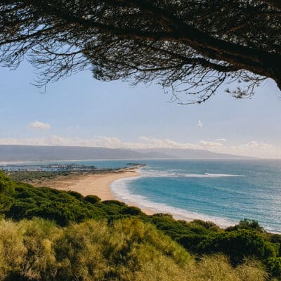 Marismas del Barbate