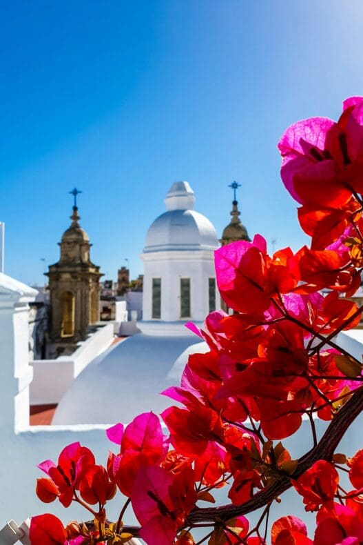 Cadiz