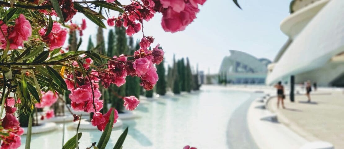 16 Best Cities to Visit in Spain