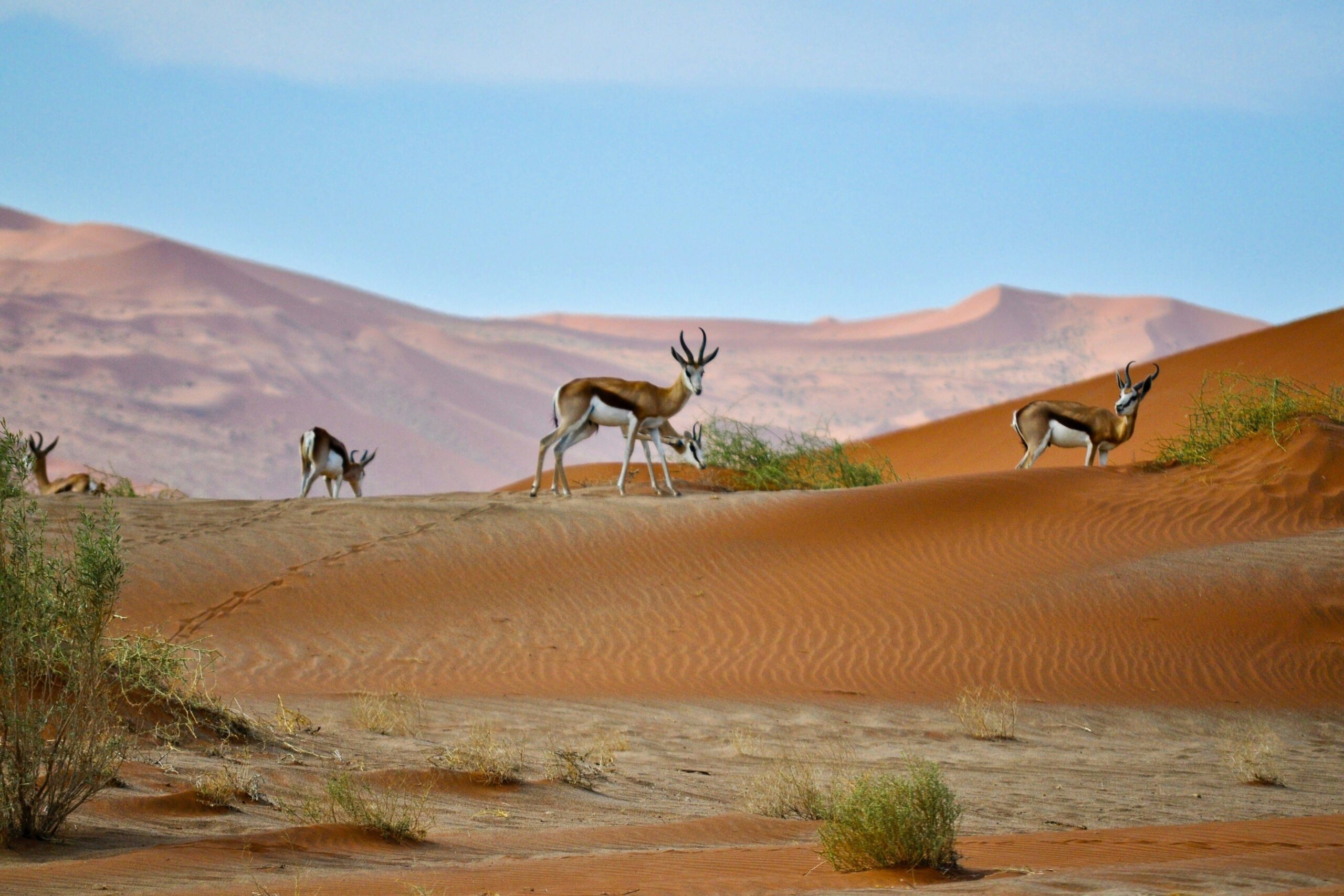 Namibie