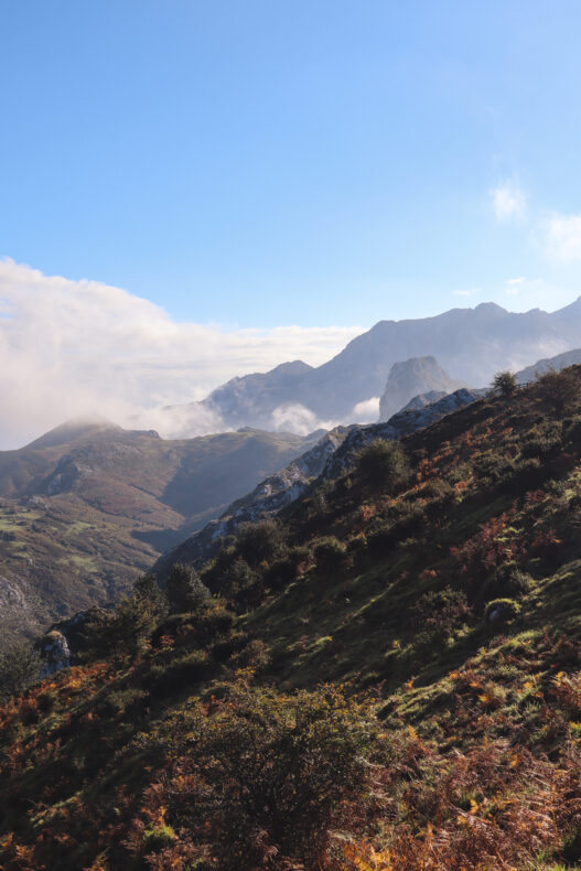Covadonga Picos de Europa