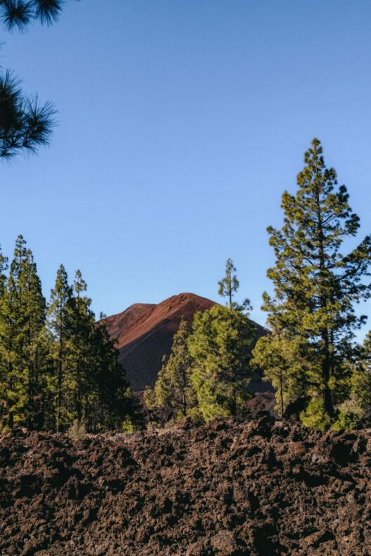 Chinyero Tenerife Teide NP