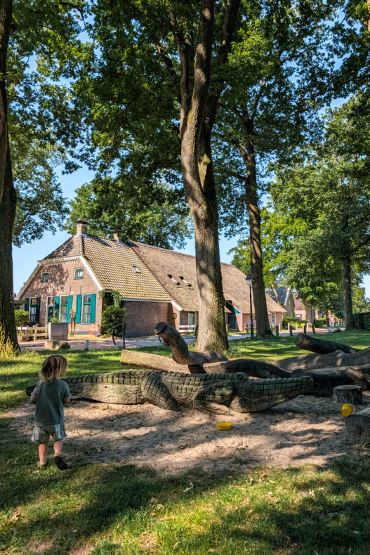 Diever Eendenvijver