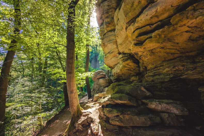 Mullerthal trail