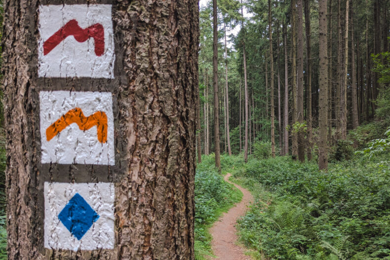 Mullerthal trail