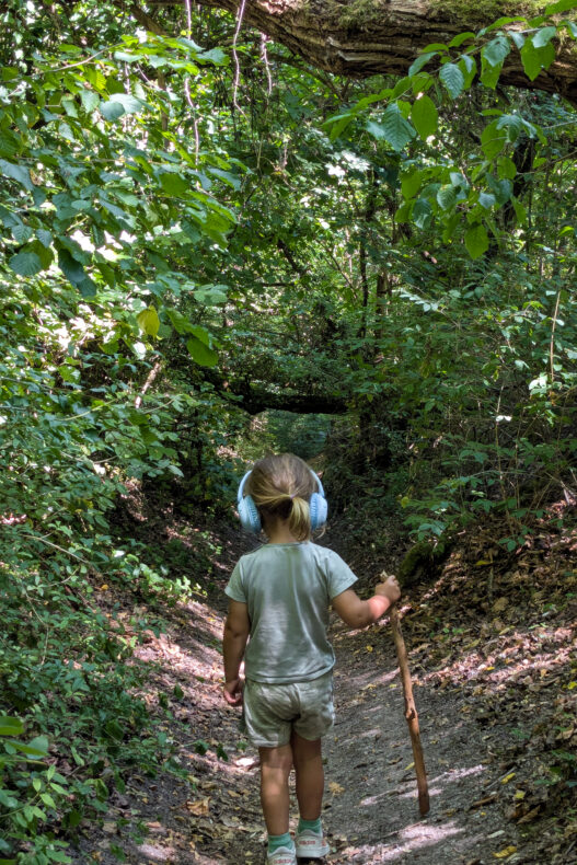 Mullerthal trail met kids