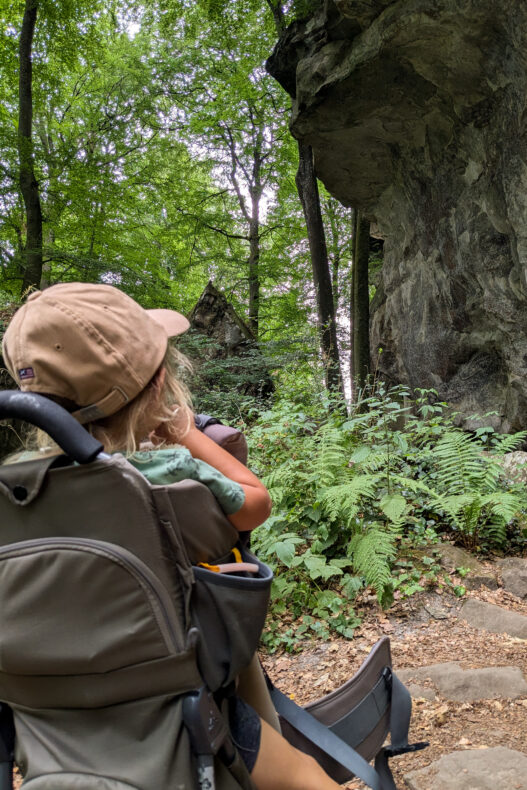 Mullerthal trail met kids