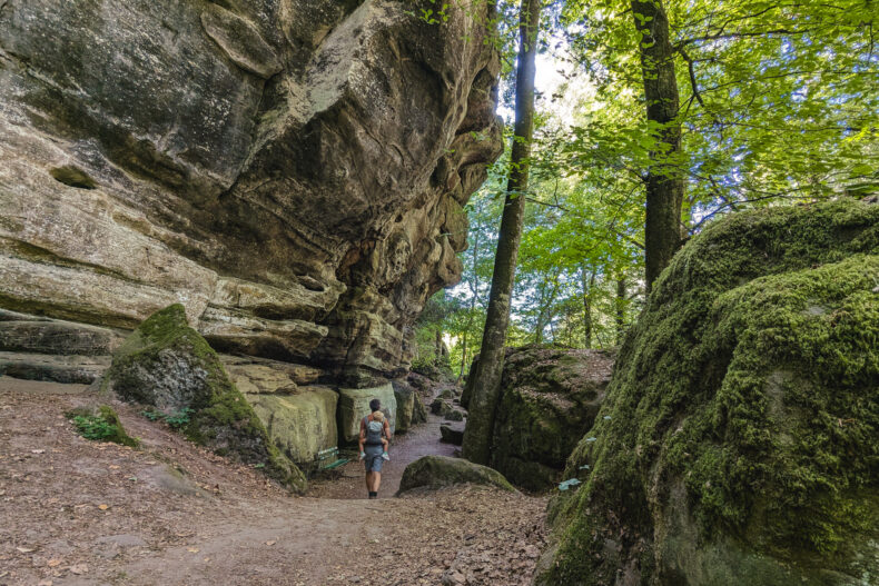 Mullerthal trail met kids
