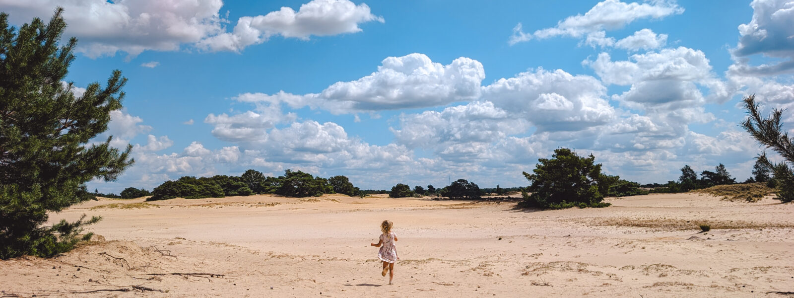 De mooiste natuur in Drenthe: 10 natuurgebieden om niet te missen