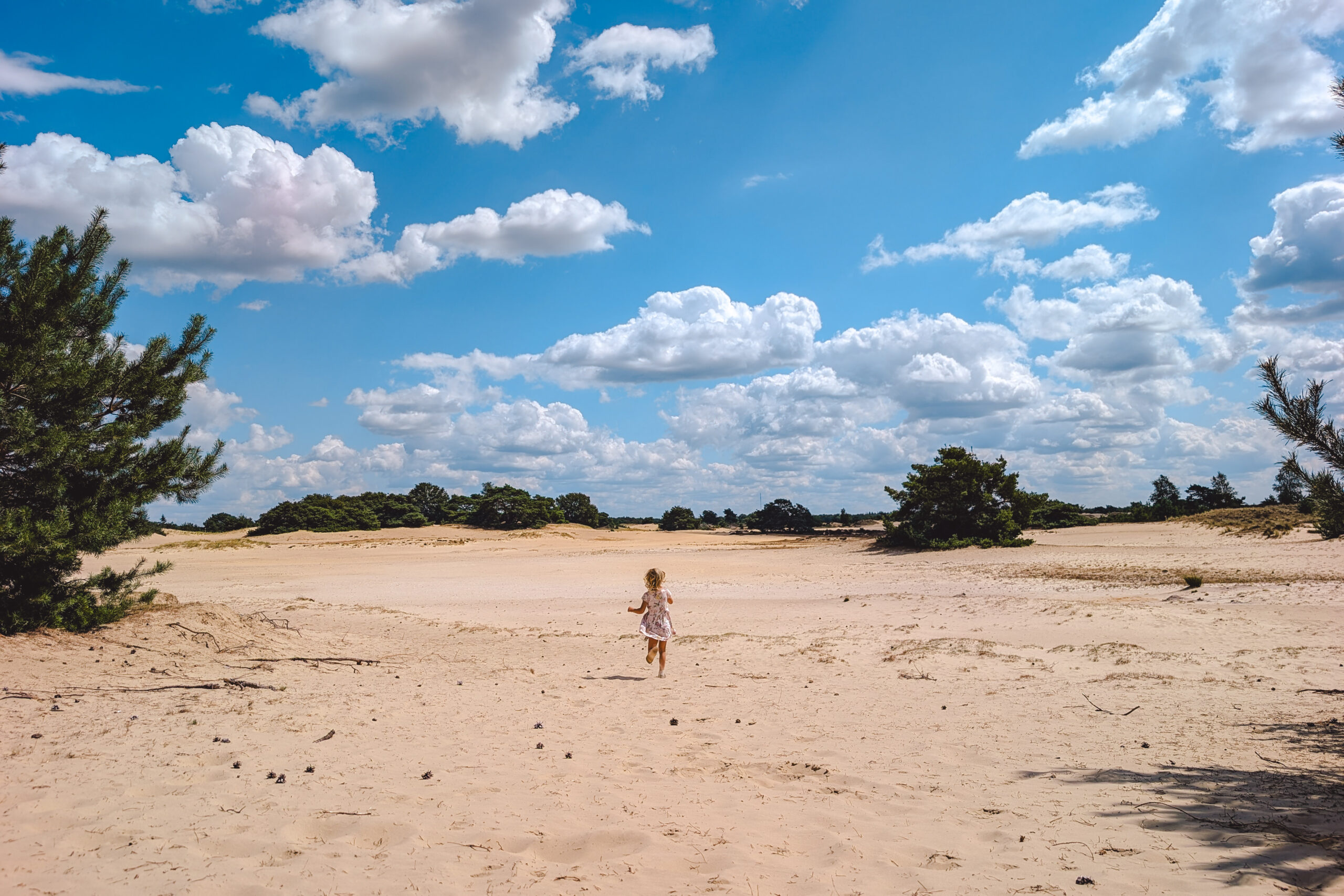 Aekingerzand Kale Duinen